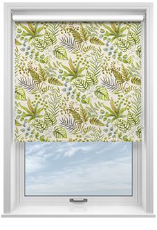 Paloma, Kiwi - Roller Blind
